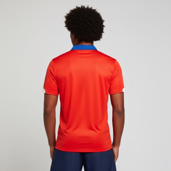 IMG_8208 Camiseta Chile 2015 | Campeones de Copa América